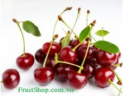 Cherry đỏ Úc