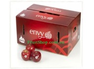 Táo Envy Mỹ size 48